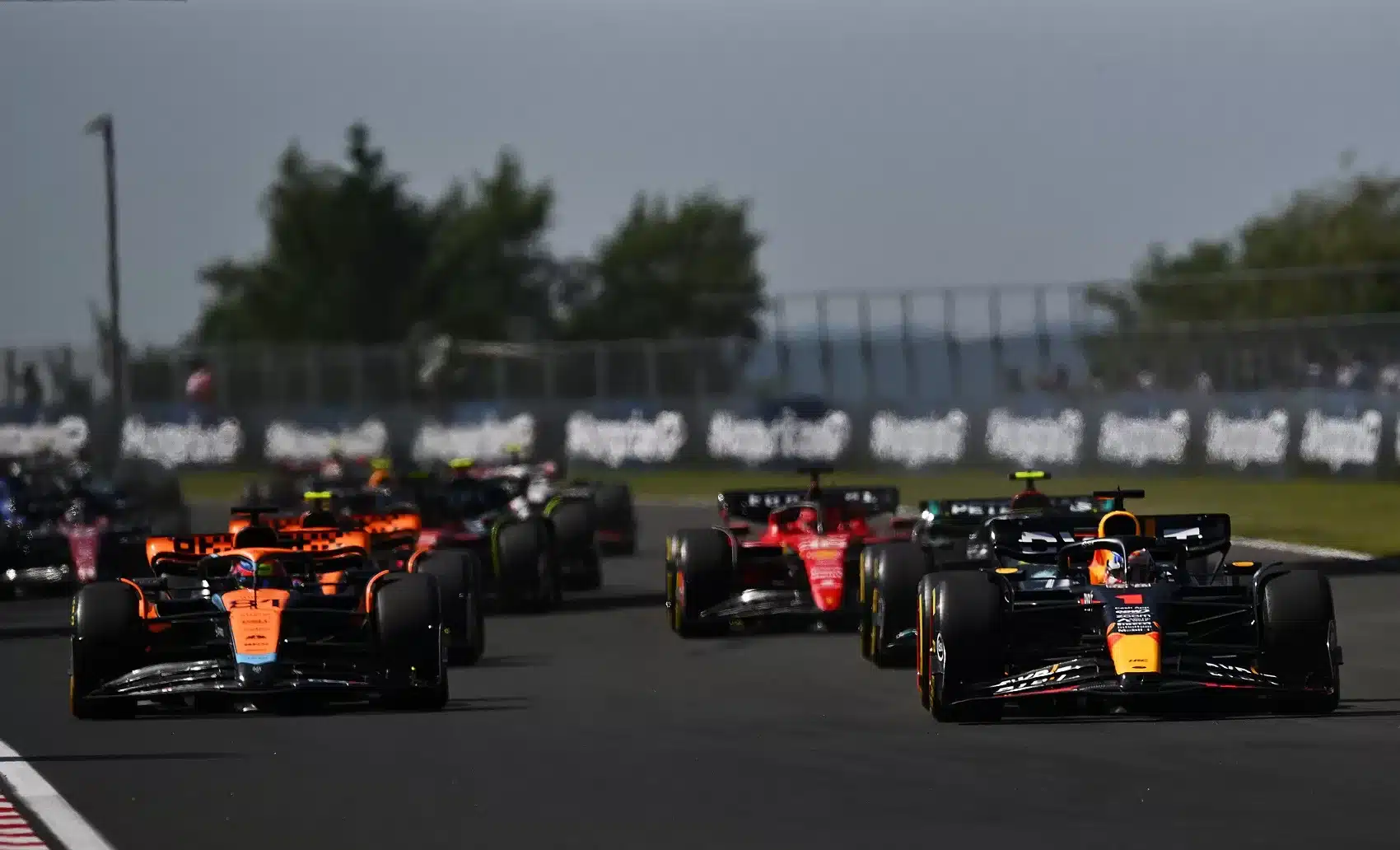 F1, rajt, Magyar Nagydíj, forma-1