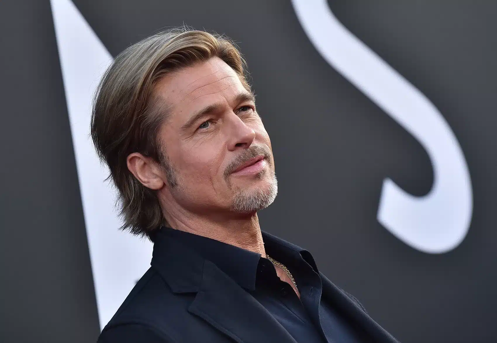 Brad Pitt, hamilton
