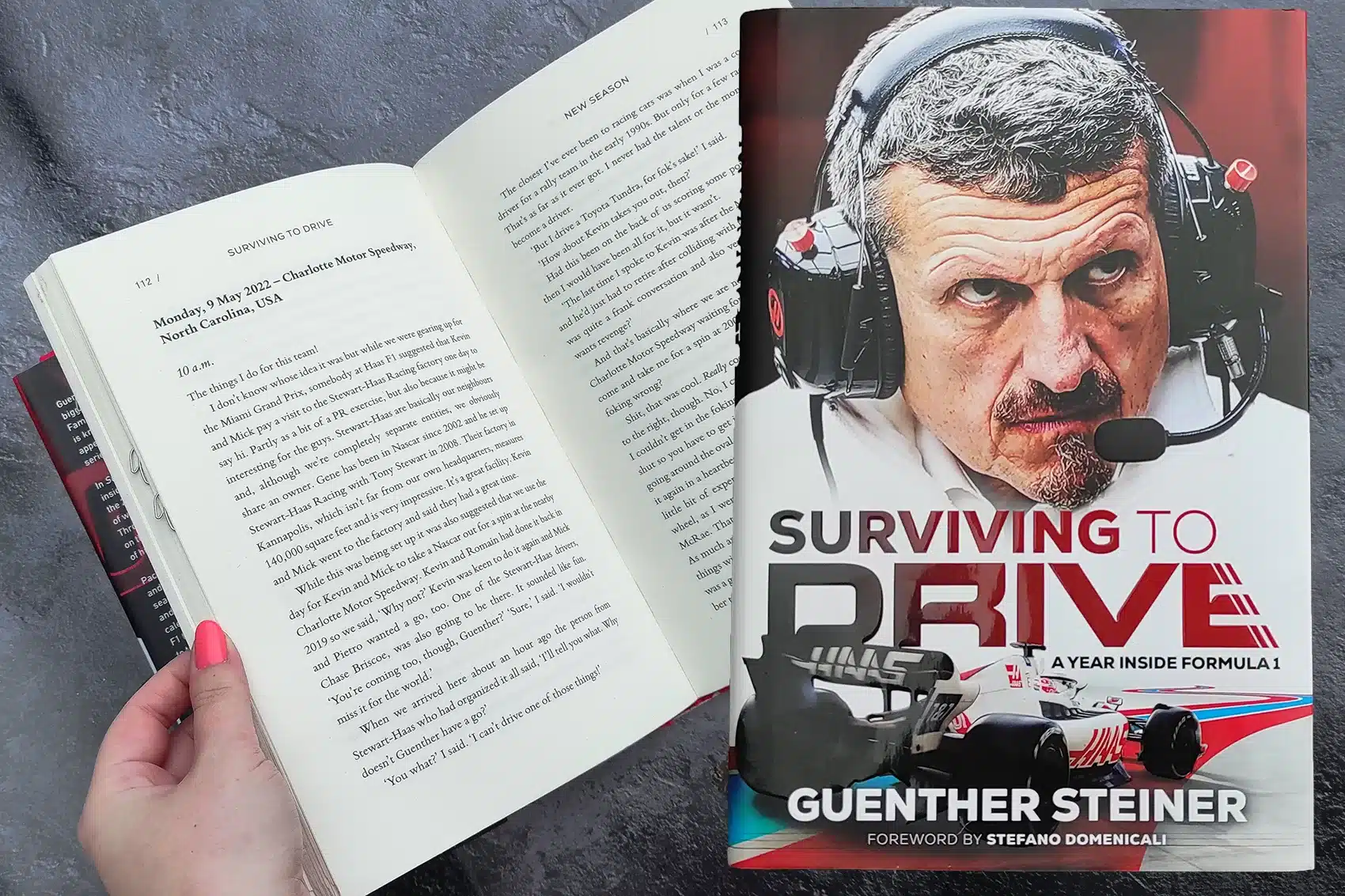 Günther Steiner: Surviving to drive