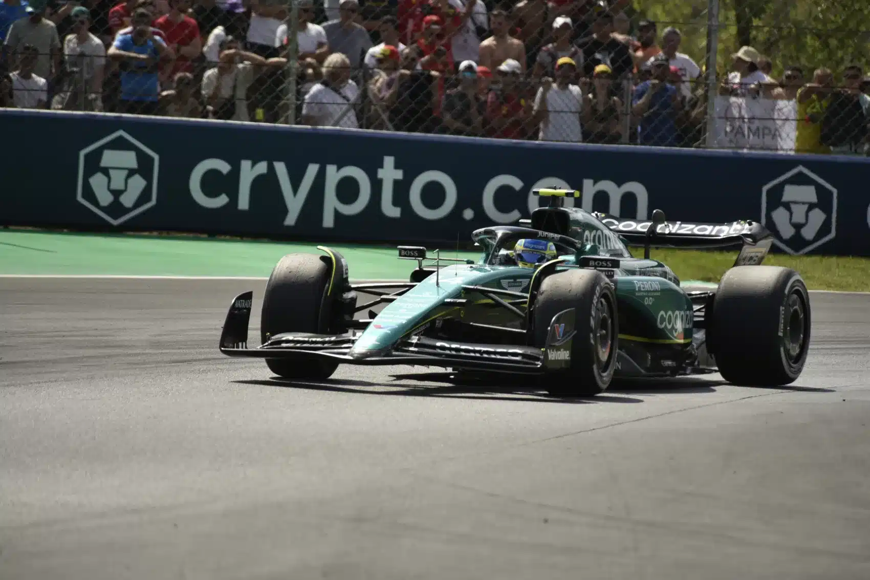 Fernando Alonso