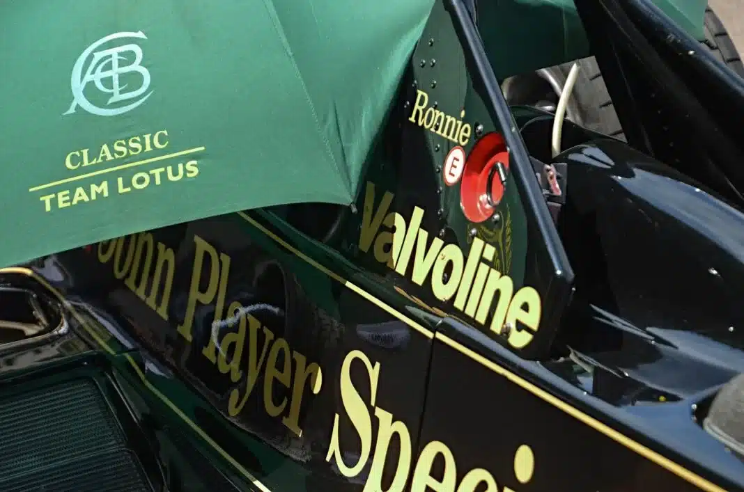 Ronnie Peterson, F1