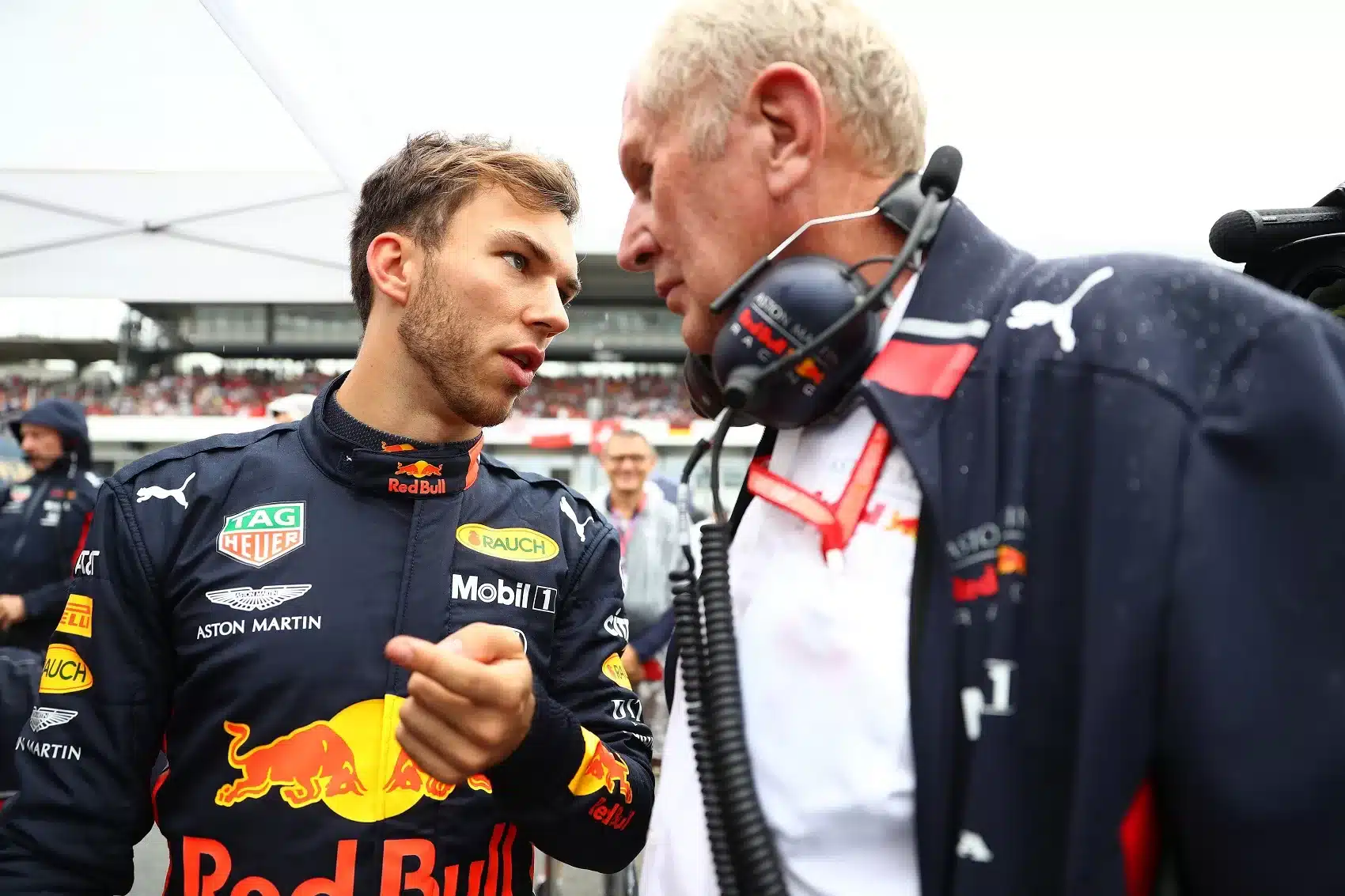 Pierre Gasly, Helmut Marko