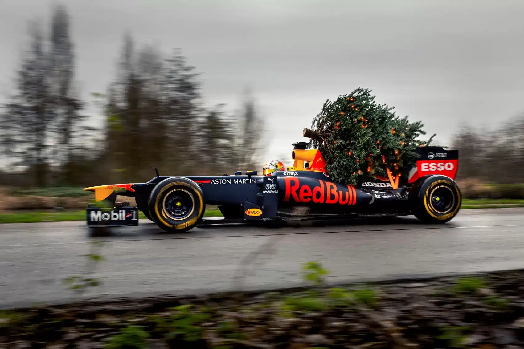 F1 karácsony (Egy F1-es Red Bull egy fenyőfát szállít)