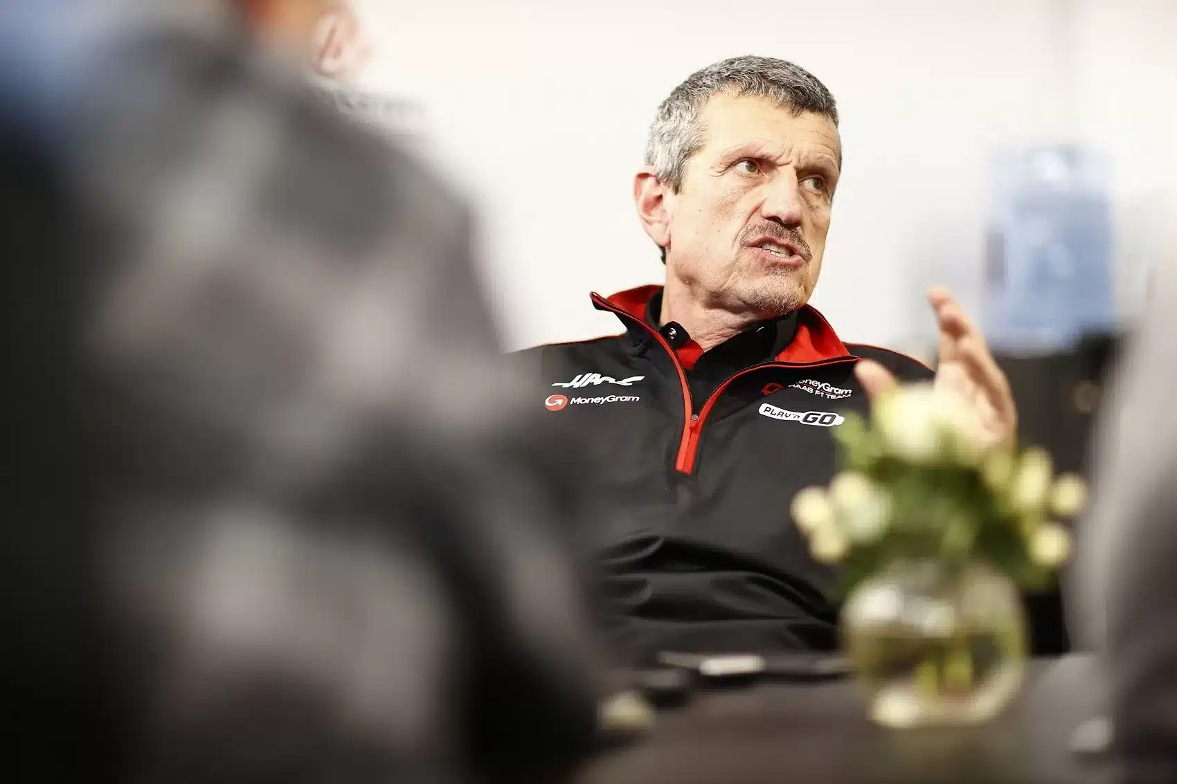 Günther Steiner, f1
