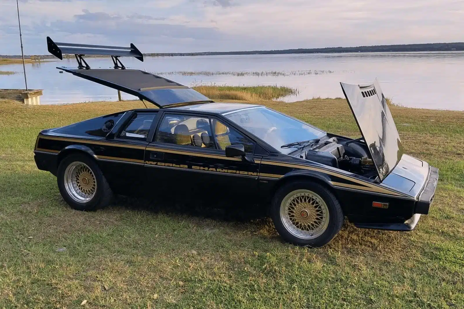 lotus