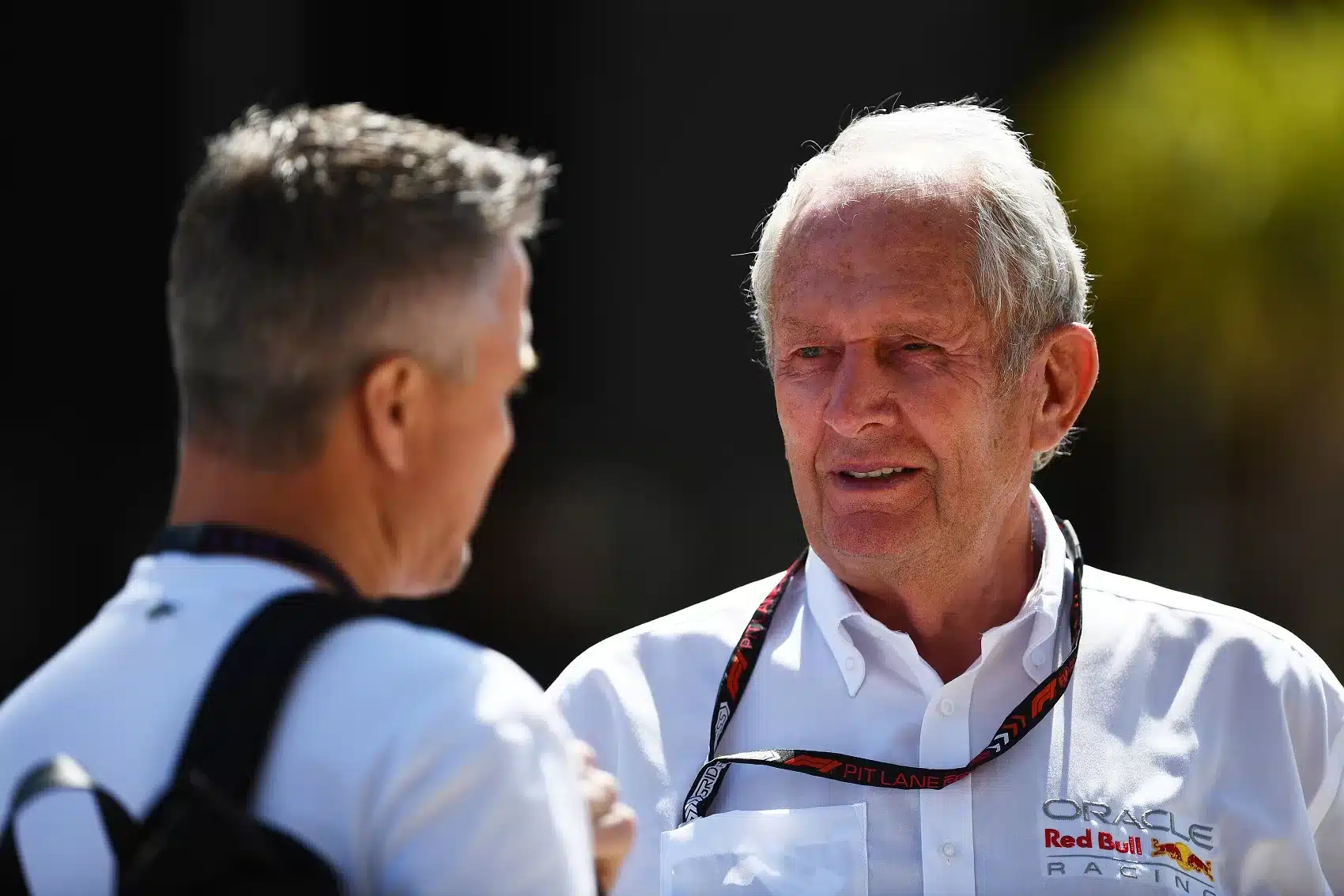 Helmut Marko, Ralf Schumacher, verstappen, forma-1