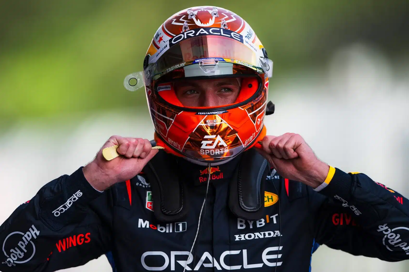 Max Verstappen, Red Bull