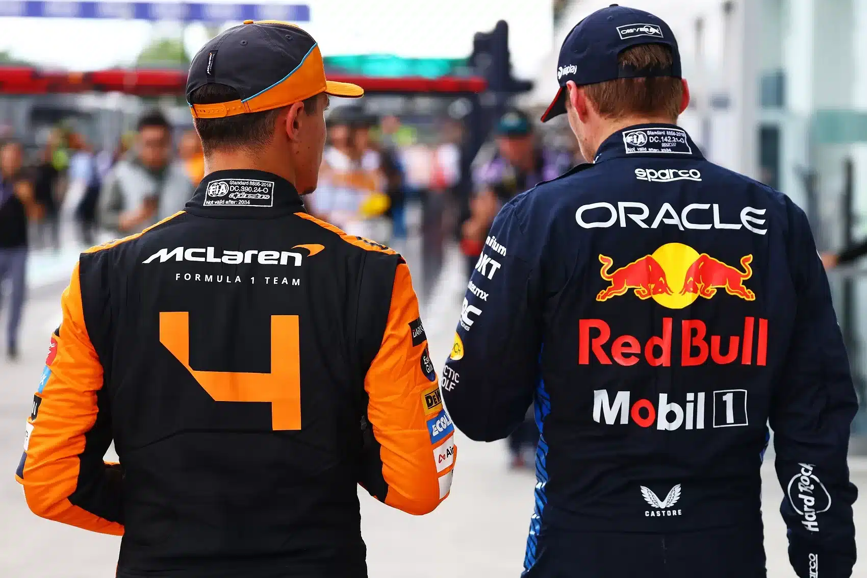Max Verstappen, Lando Norris, marko