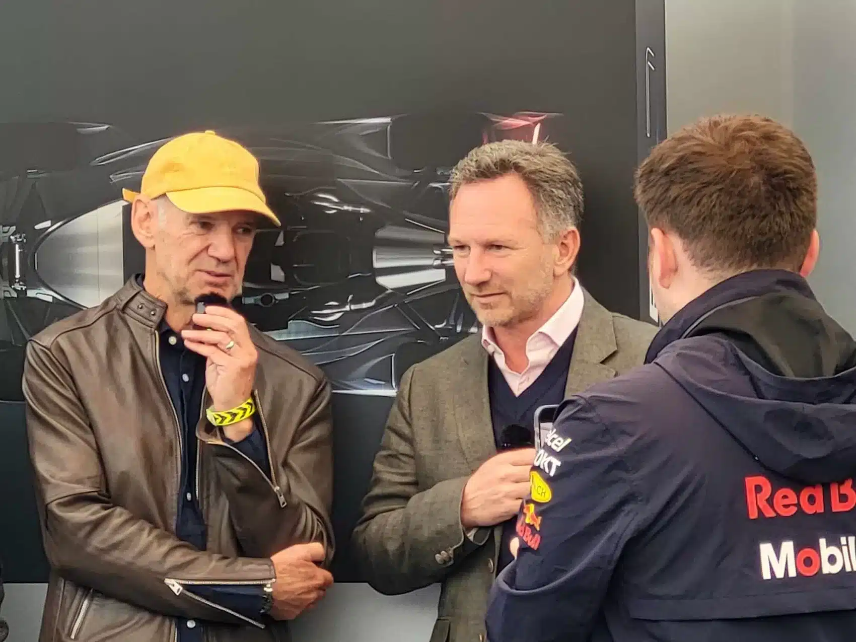 Adrian Newey, Christian Horner