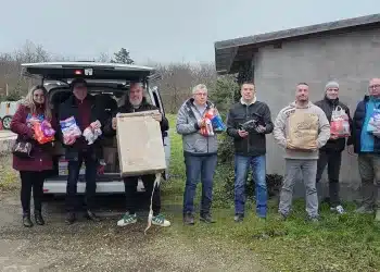 macskaárvaház