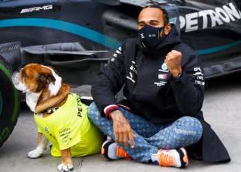 Lewis Hamilton Roscoe kutyájával, 2020 Török Nagydíj
