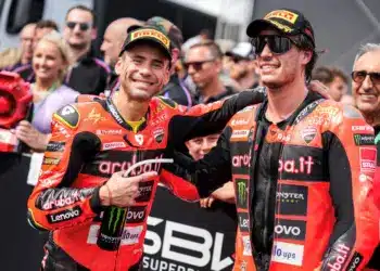 Bautista - Bulega