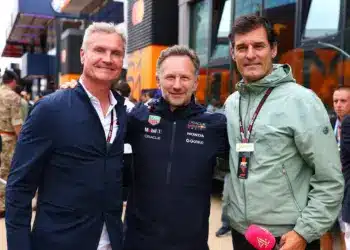 David Coulthard, Christian Horner, Mark Webber