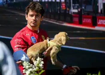 Charles Leclerc, és a kezében kutyája: Leo