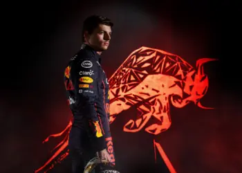Max Verstappen, brown