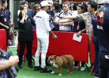Lewis Hamilton Roscoe kutyájával