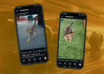 F1 Azerbajdzsáni Nagydíj, cica