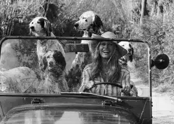 Brigitte Bardot
