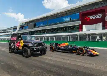 Wings for life, Hungaroring