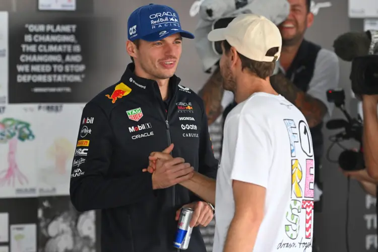 Max Verstappen, Sebastian Vettel